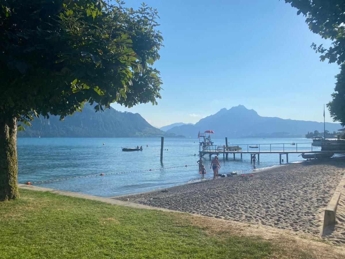 Swiss Paradise ווג'יס מראה חיצוני תמונה